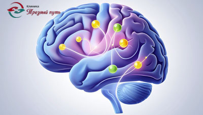 Схема головного мозга зависимого